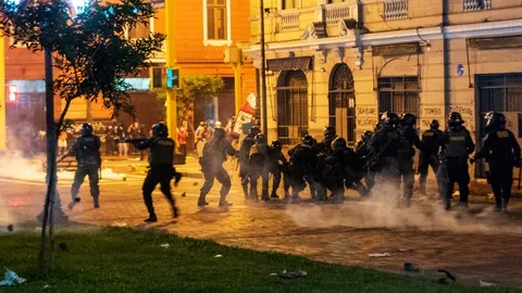 Marchas de noviembre