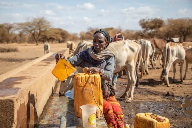 agua-crisis-bancarrota-hidrica-mundial-onu4-768x512