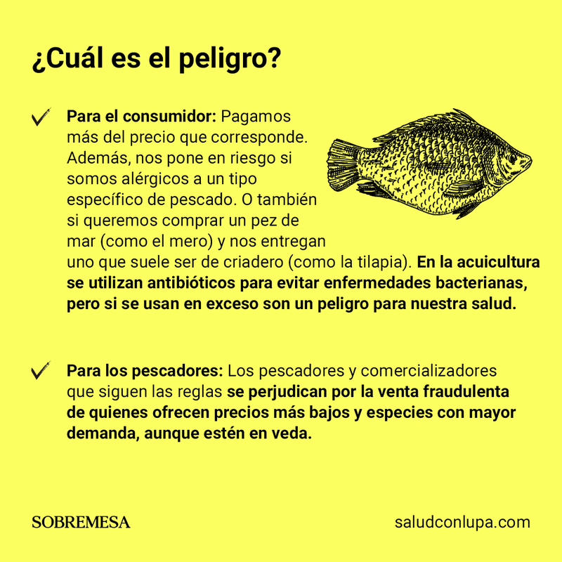 album-pescado-4.png