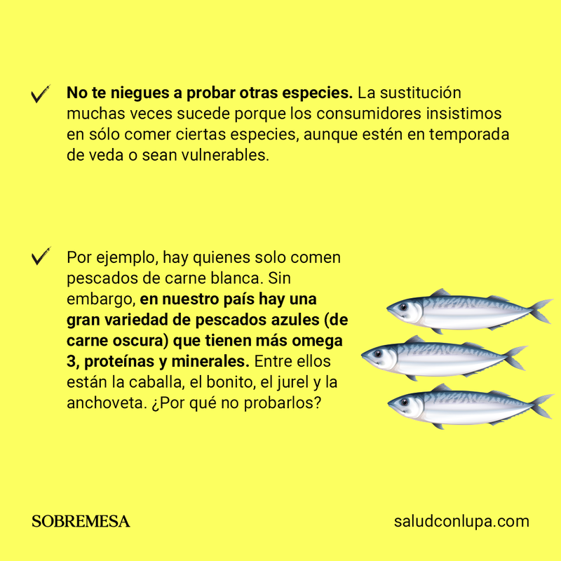 album-pescado-8.png