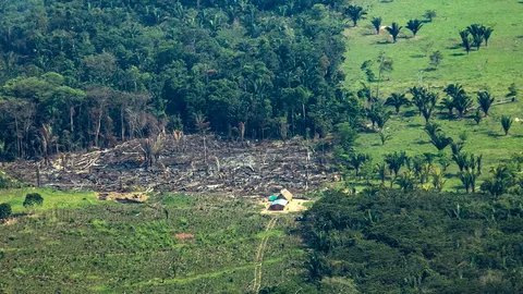 andes-amazon-connection-1600x600