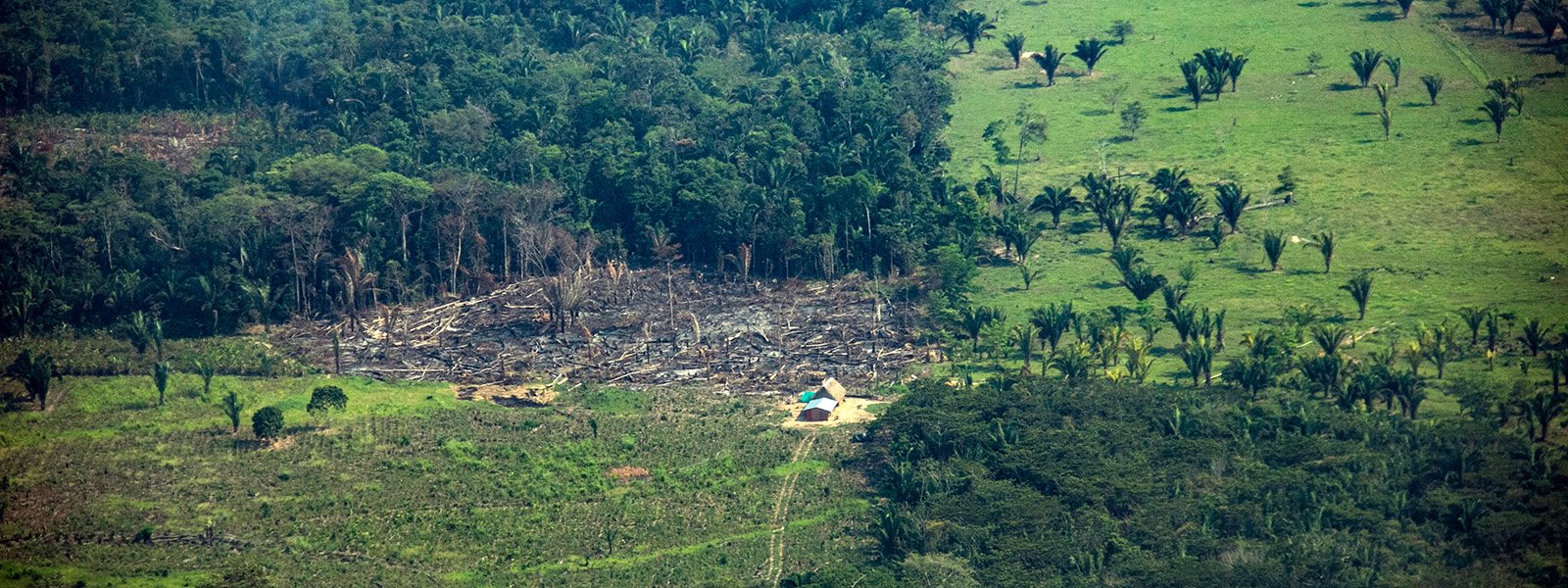 andes-amazon-connection-1600x600