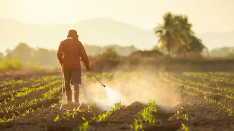 asian-farmer-working-field-spraying-chemical