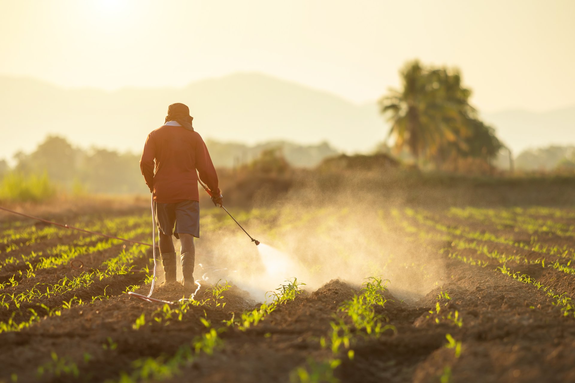 asian-farmer-working-field-spraying-chemical