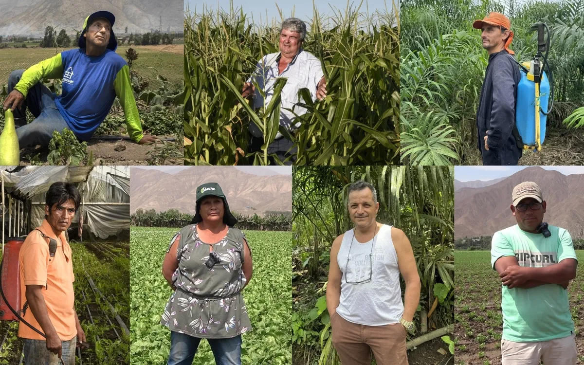 composicion_testimonios_agricultores_pea