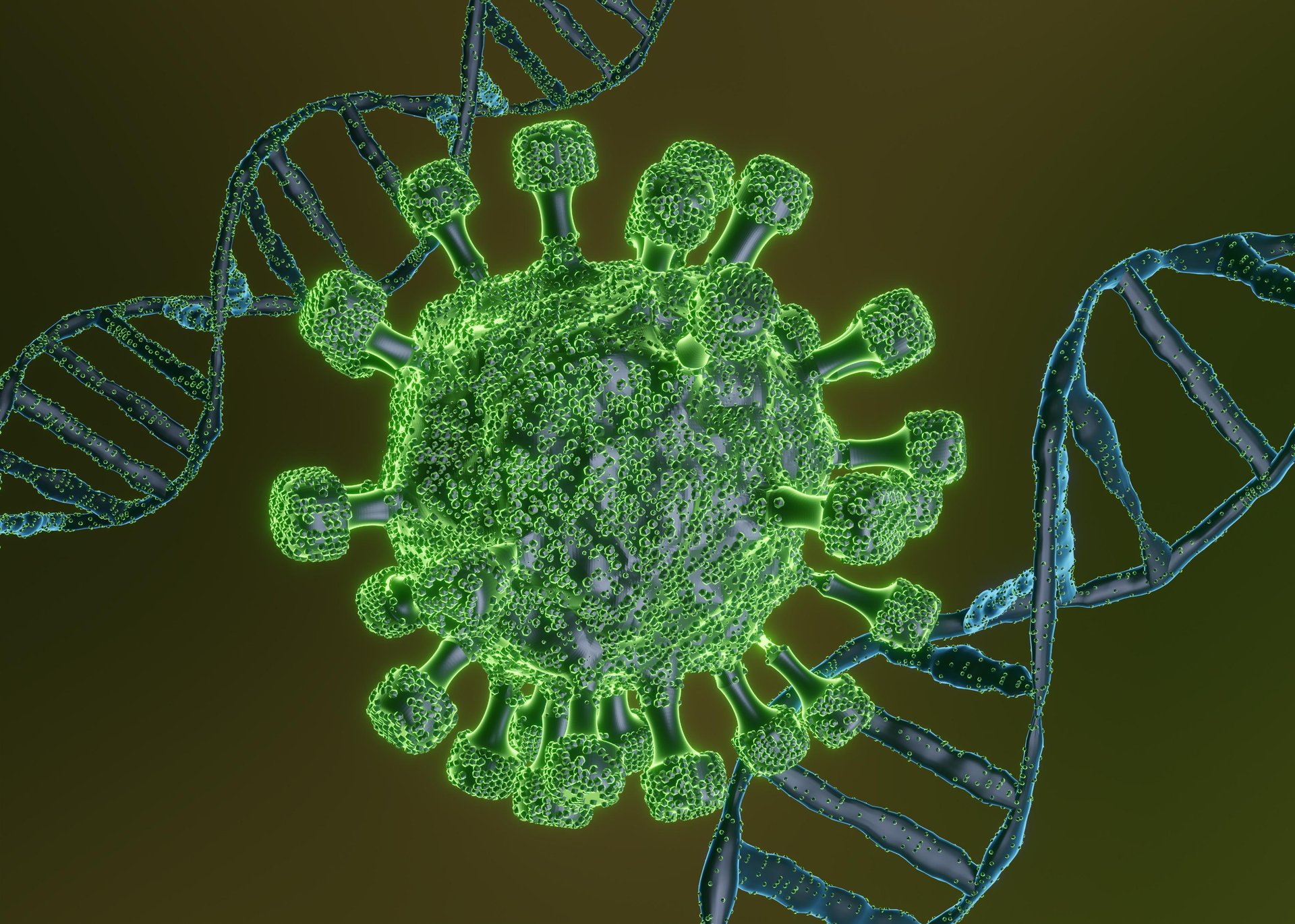 covid-virus-3d-modeling