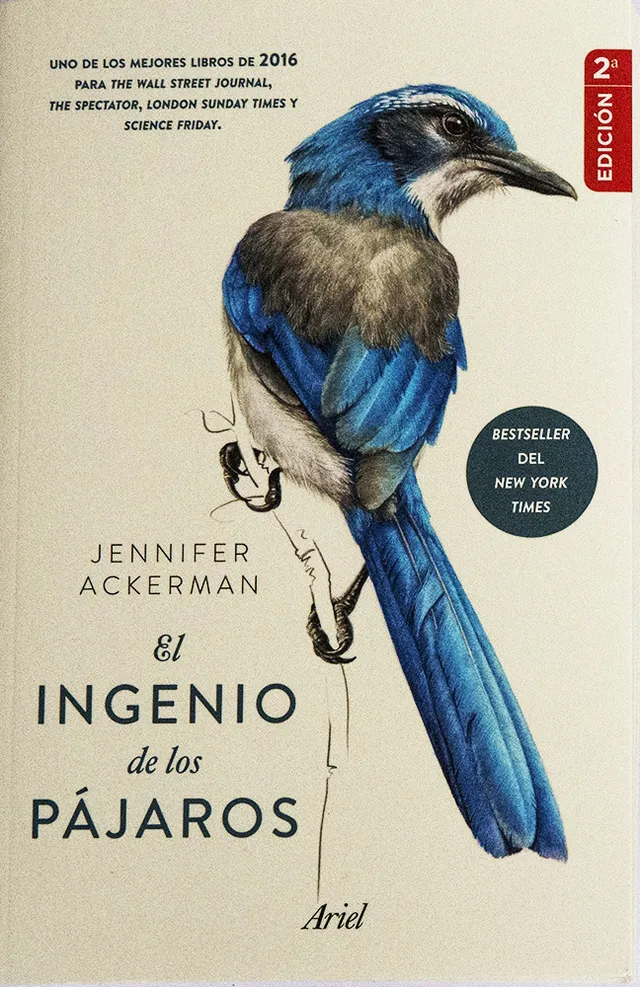 El ingenio de los pájaros