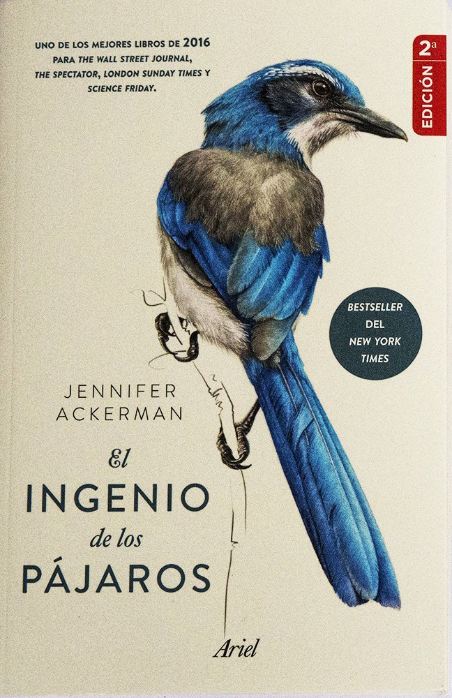 El ingenio de los pájaros