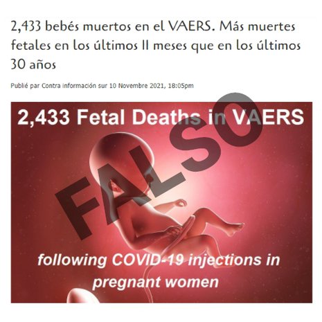 fake – 1.jpg
