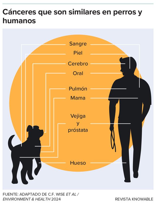 g-cancers-similar-dogs-people-kee