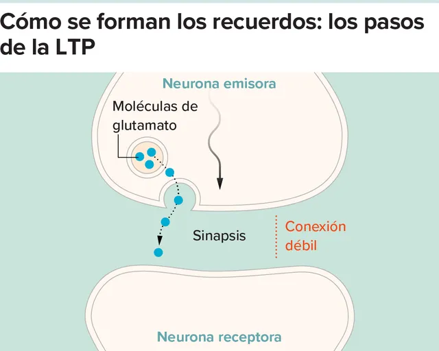 g-how-memories-form-ltp1-kee