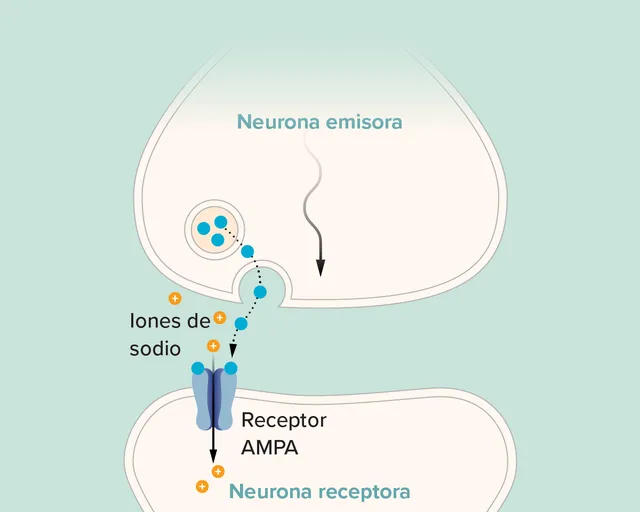 g-how-memories-form-ltp2-kee