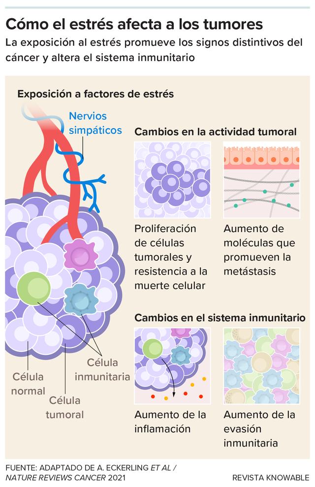 g-how-stress-affects-tumor-kee
