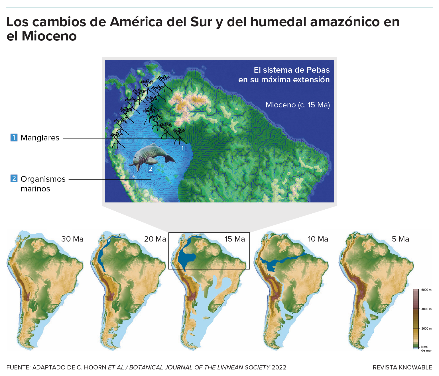 g-miocene-wetland-changes-kee