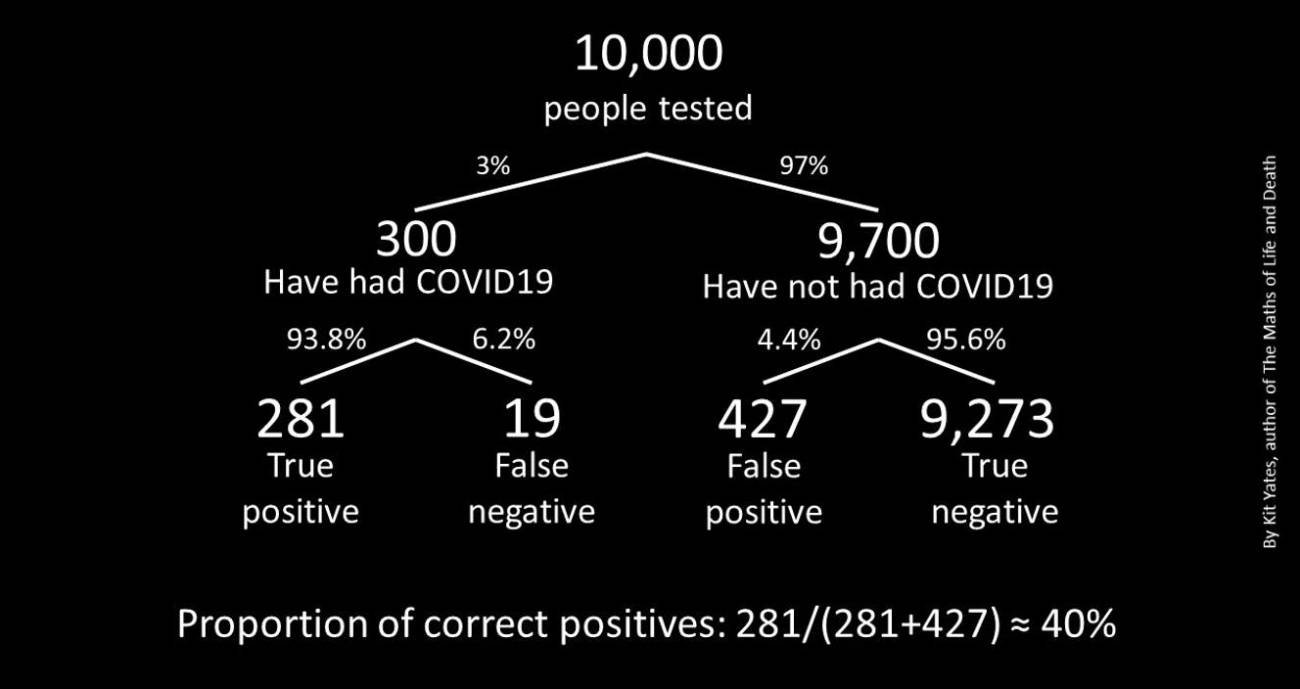 grafico - los test de anticuerpos.jpg