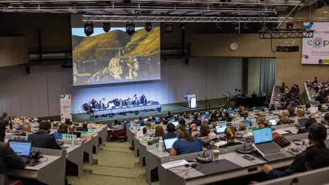 C:\fakepath\image (151).png