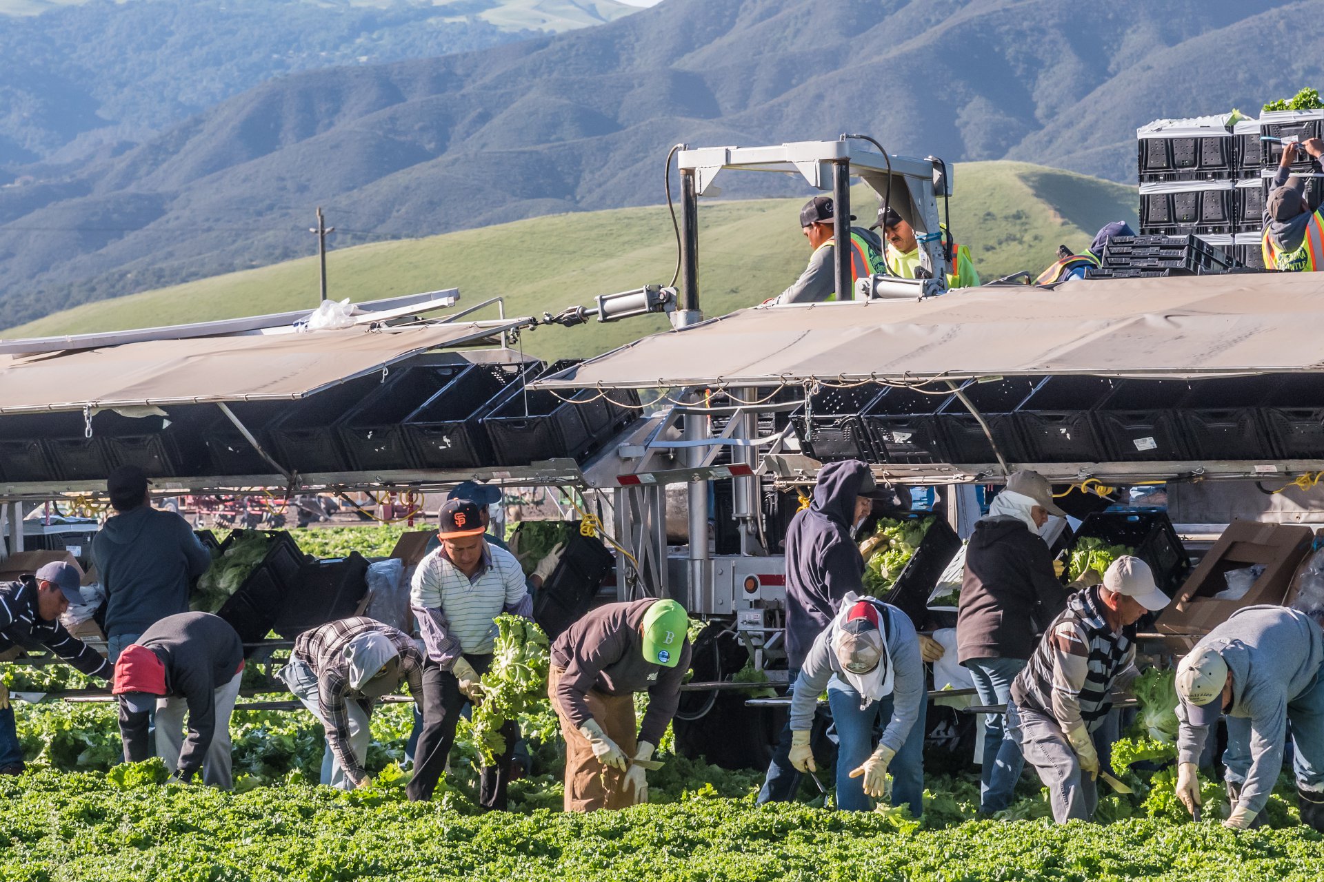 inmigrantes trabajando