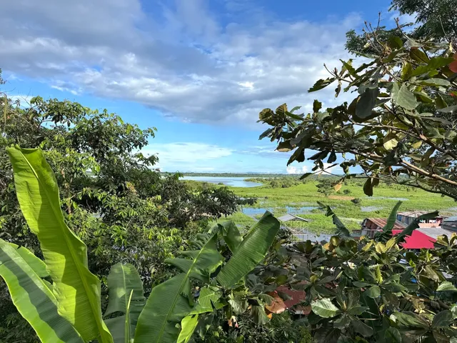 iquitos