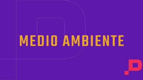 medio-ambiente