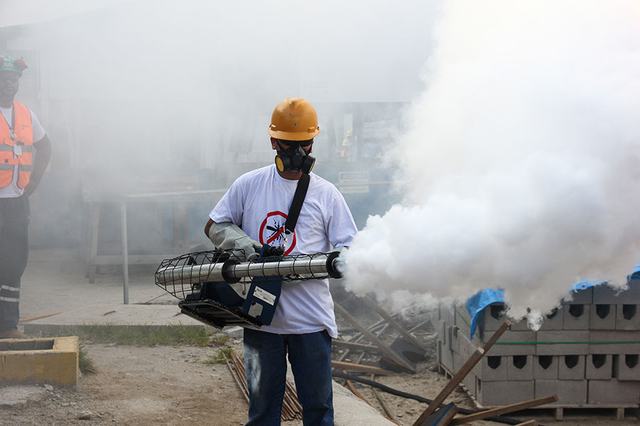 Dengue - Brasil