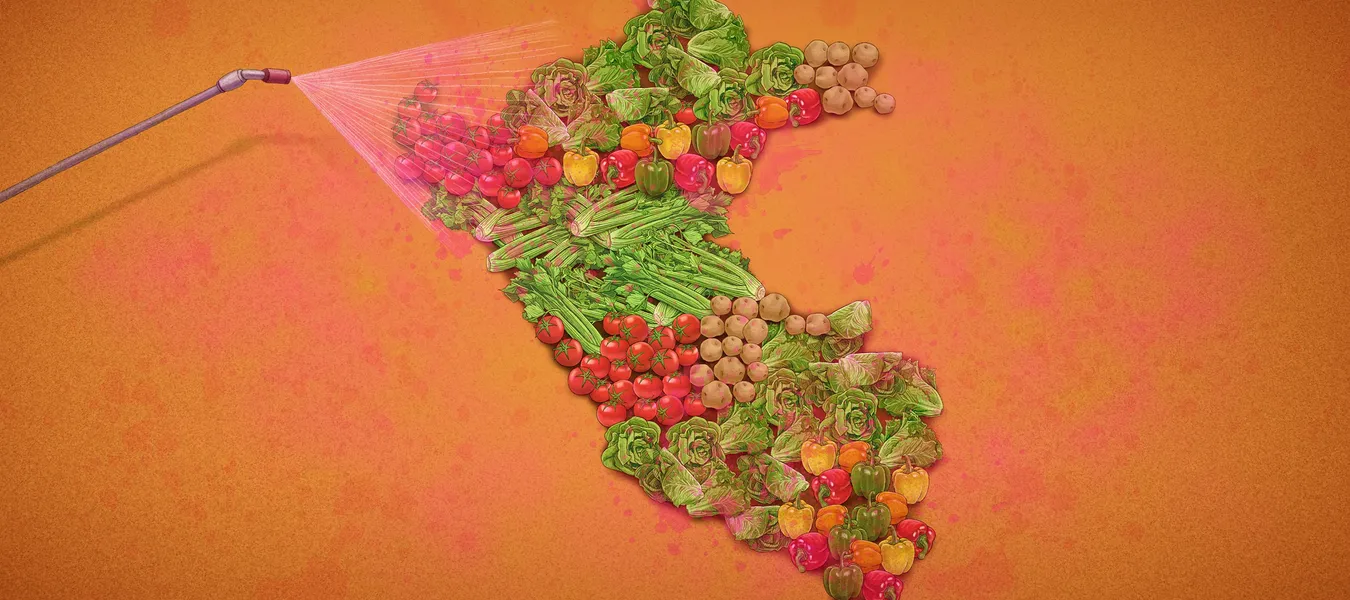 pesticidas_regiones