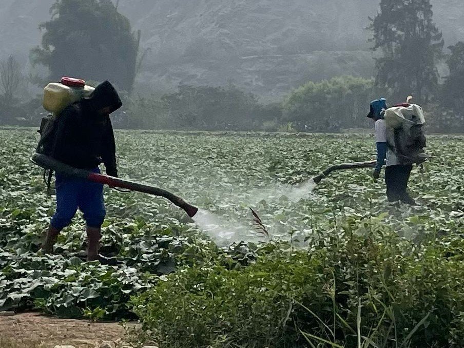 uso de pesticidas en el campo