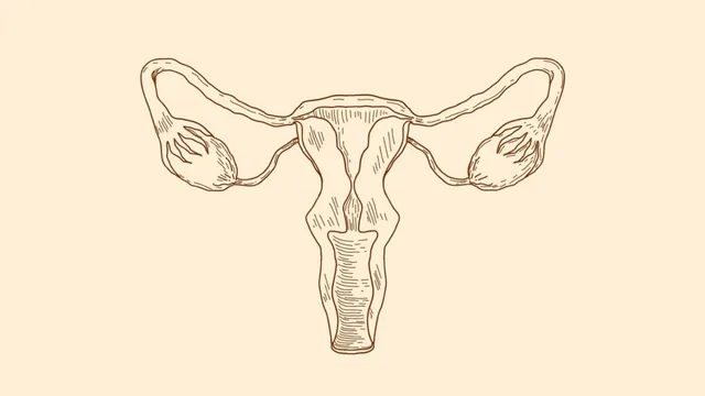 utero