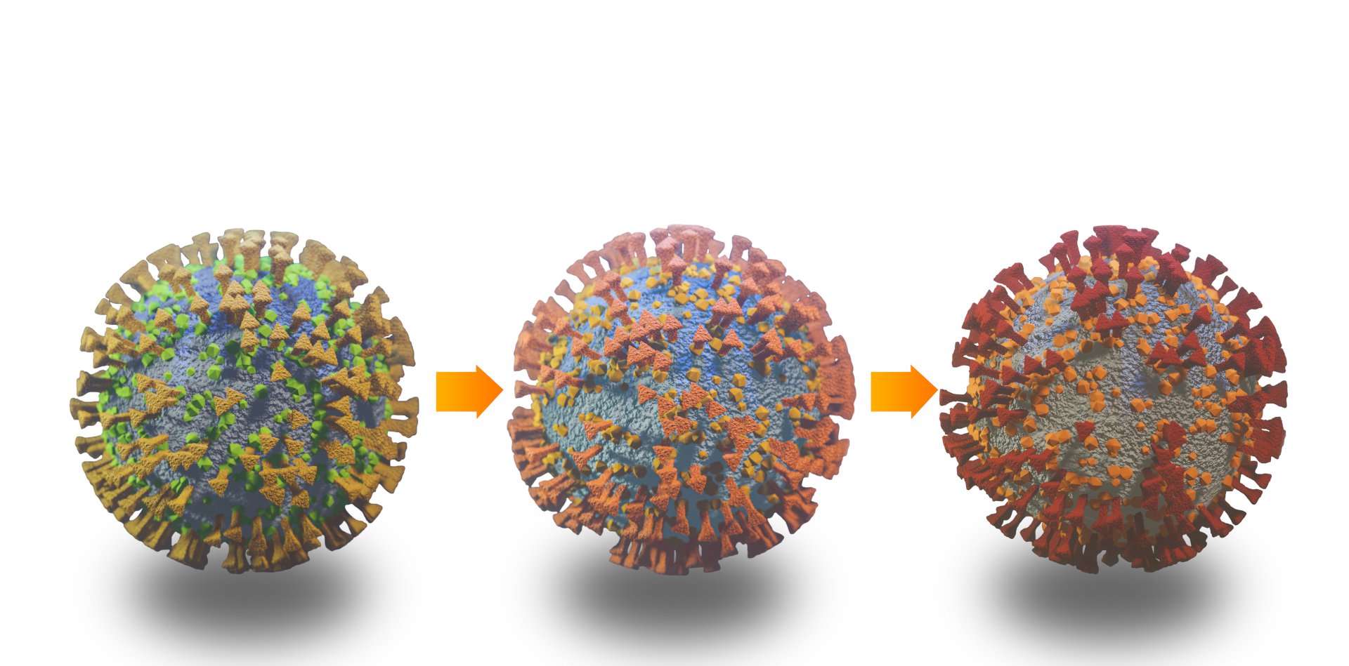 virus_mutation.jpg
